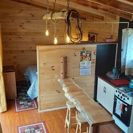Cabana Del Campo Hornopiren Ngoại thất bức ảnh