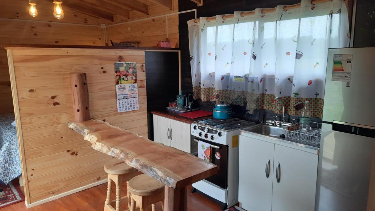 Cabana Del Campo Hornopiren Ngoại thất bức ảnh