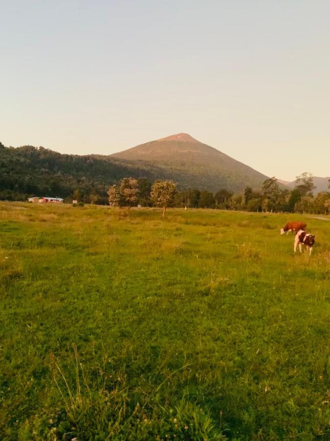 Cabana Del Campo Hornopiren Ngoại thất bức ảnh